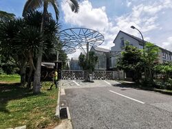 Springleaf Avenue (D26), Terrace #366521061